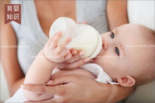 母婴生活护理 科学育儿，守护新生旅程